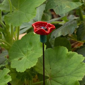 A red ruffled glass bee sipper with black centre and green stem in a pot with green leaves.